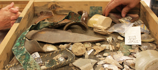 Artifacts in a tray
