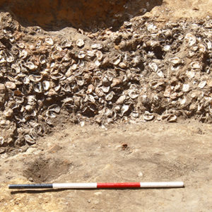 archaeologist sits next to a large pile of oyster shells