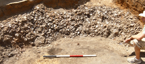 archaeologist sits next to a large pile of oyster shells