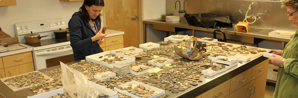 Staff examine a large number of ceramic sherds on a lab table