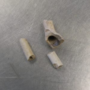 Three pipe fragments