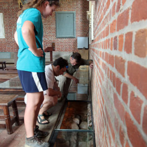 Archaeologists examine excavated brick foundations