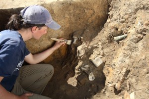 Archaeologist brushes artifacts in an excavation unit wall