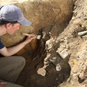Archaeologist brushes artifacts in an excavation unit wall