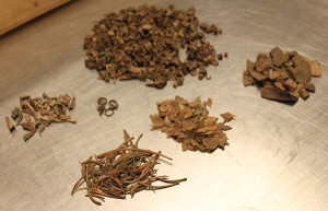 Faunal remains sorted into small piles on a lab table