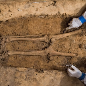 Excavated leg bones