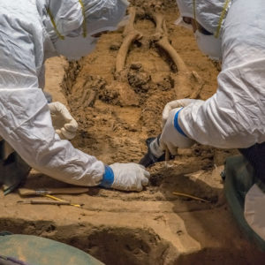 Archaeologists excavate skeletal remains