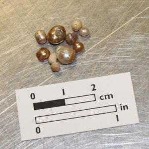 Freshwater pearls on a lab table