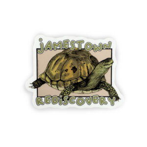 Box Turtle Sticker
