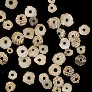 Assortment of circular shell beads