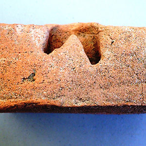 Side view of a brick with a pig hoofprint