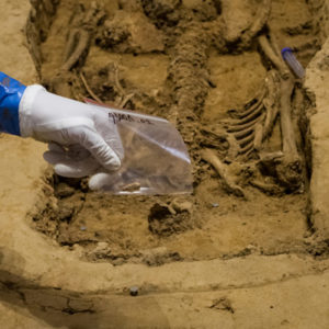 Gloved hand holding plastic bag over skeletal remains