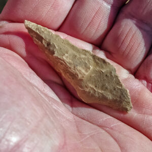 A close-up of a projectile point found during the burial excavations.