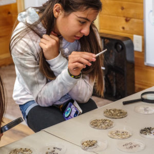 A visitor closely examines a tiny artifact to sort it into the correct category.
