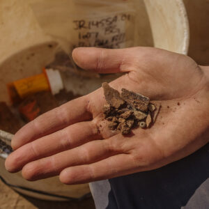 A smattering of artifacts from the 1607 Burial Ground including animal bone, a bead, and a straight pin.