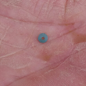 A tiny blue bead found in the north field excavations.