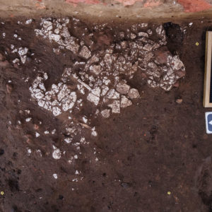 Plaster at the north Church Tower dig site