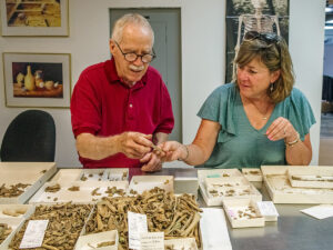 Zooarchaeologists Stephen Atkins and Susan Andrews analyzing animal bones found in Jamestown's first well.