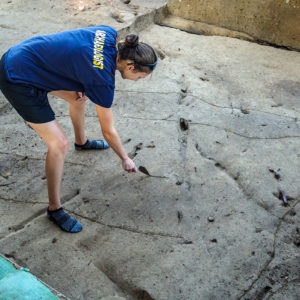 Site Supervisor Anna Shackelford scores features at the north Church Tower excavations. Scoring makes it easier to see the sometimes-subtle boundaries between features and the surrounding soil.