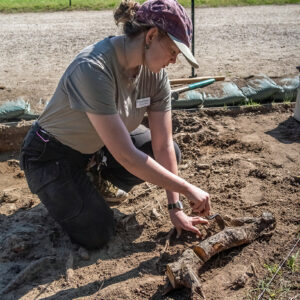 Field School student Eleanor Robb works around roots at the west "flag" excavation area.