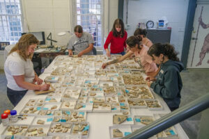 Senior Curator Leah Stricker and field school students attempt to find mends in the Jamestown Delft tile collection.
