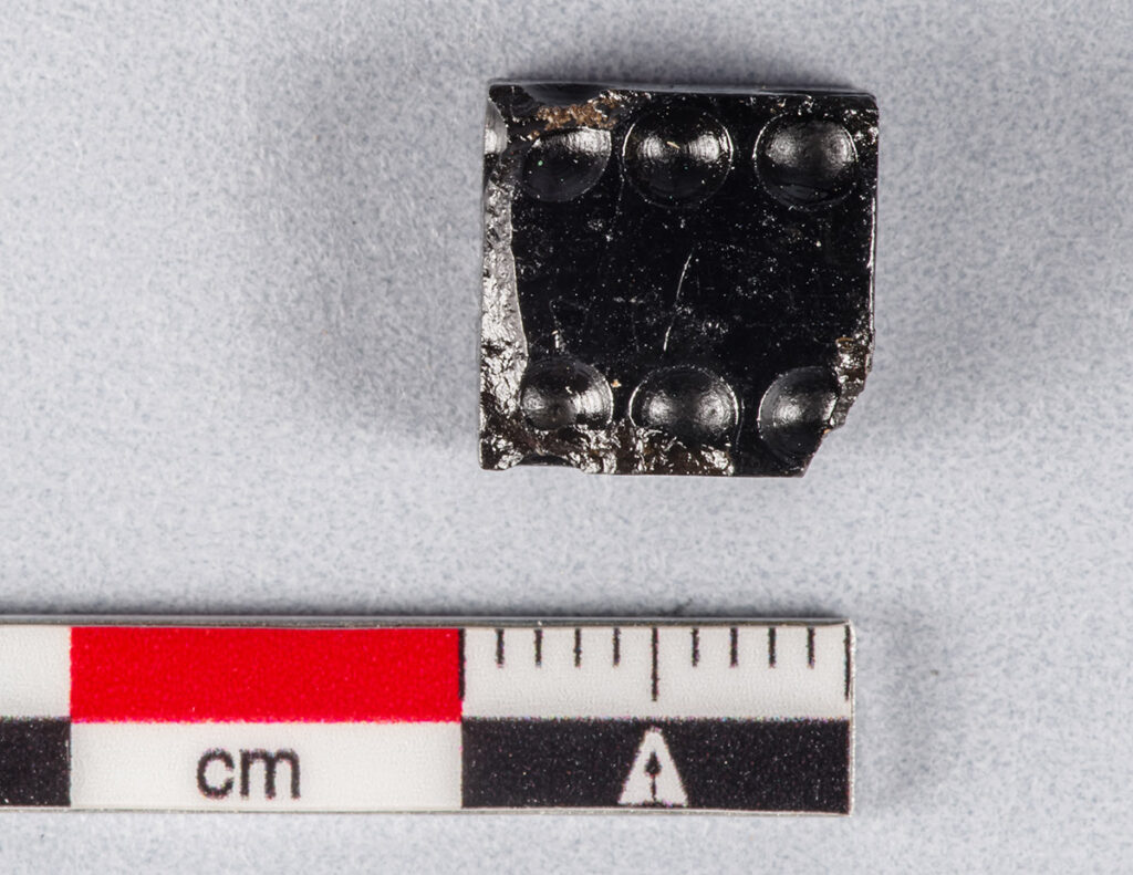 A jet-like gaming die determined to be wood after analysis by Sarah Steele