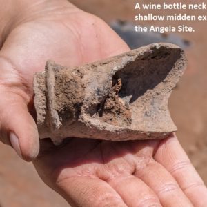 Hand holding wine bottle neck