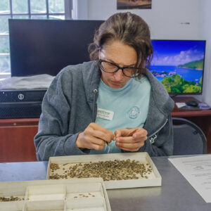 Field school student Kristin Grossi picks through artifacts found in John Smith's Well.