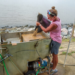 Curatorial Assistant Lindsay Bliss floting soil samples at the Seawall near the Dale House.