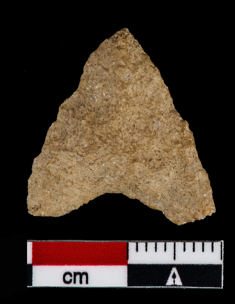 small triangular projectile point