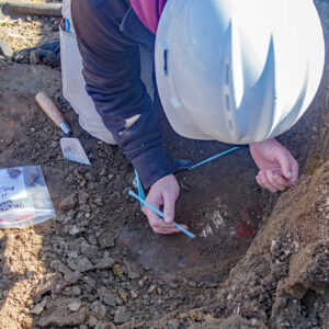 Staff Archaeologist Ren Willis excavates some mammal teeth found in the excavations outside the Church Tower.
