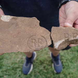 Two brick fragments with the letters "RF" on them (probably a maker's mark) found in the excavations north of the north bulwark. These likely date to the late 19th-century. Two similar fragments already exist in the Jamestown Rediscovery collection.