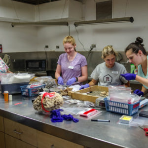 Field School students in the lab cleaning and sorting artifacts. Assistant Curator Janene Johnston and Collections Assistant Lauren Stephens give guidance.