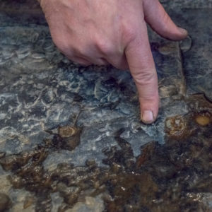 Hand pointing to crevices in Knights Tombstone