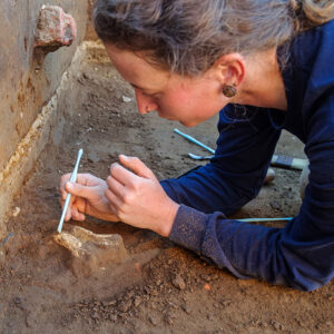 Staff Archaeologist Ren Willis excavates a mammal bone found in the excavations outside the Church Tower.