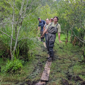 Senior Staff Archaeologists Sean Romo and Mary Anna Hartley and field school students Julia Womersley-Jackman and Lexy Marcuson walk the planks to the vibracore sites in the Pitch and Tar Swamp.