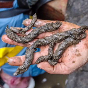A closeup of the rope fragments found in the well
