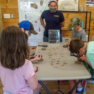 Campers sort artifacts from John Smith's well in the Ed Shed.