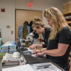 Archaeologists analyze botanical samples