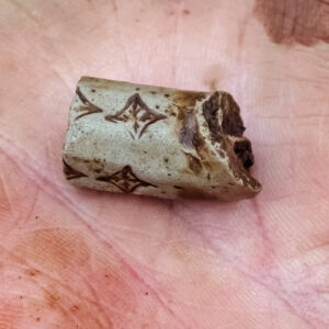 A partial Robert Cotton pipe stem found at the burial excavations