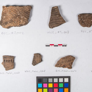 Roanoke Simple-Stamped pottery (top row) and Townsend pottery (bottom row) from a Tidewater Virginia Indian site. These sherds will undergo nuclear magnetic resonance testing to see if the process can help determine clay source locations.
