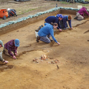The archaeological team at the cellar excavations