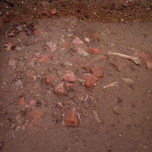 Mammal bones are interspersed with brick rubble as found by archaeologists in the excavations south of the Archaearium.