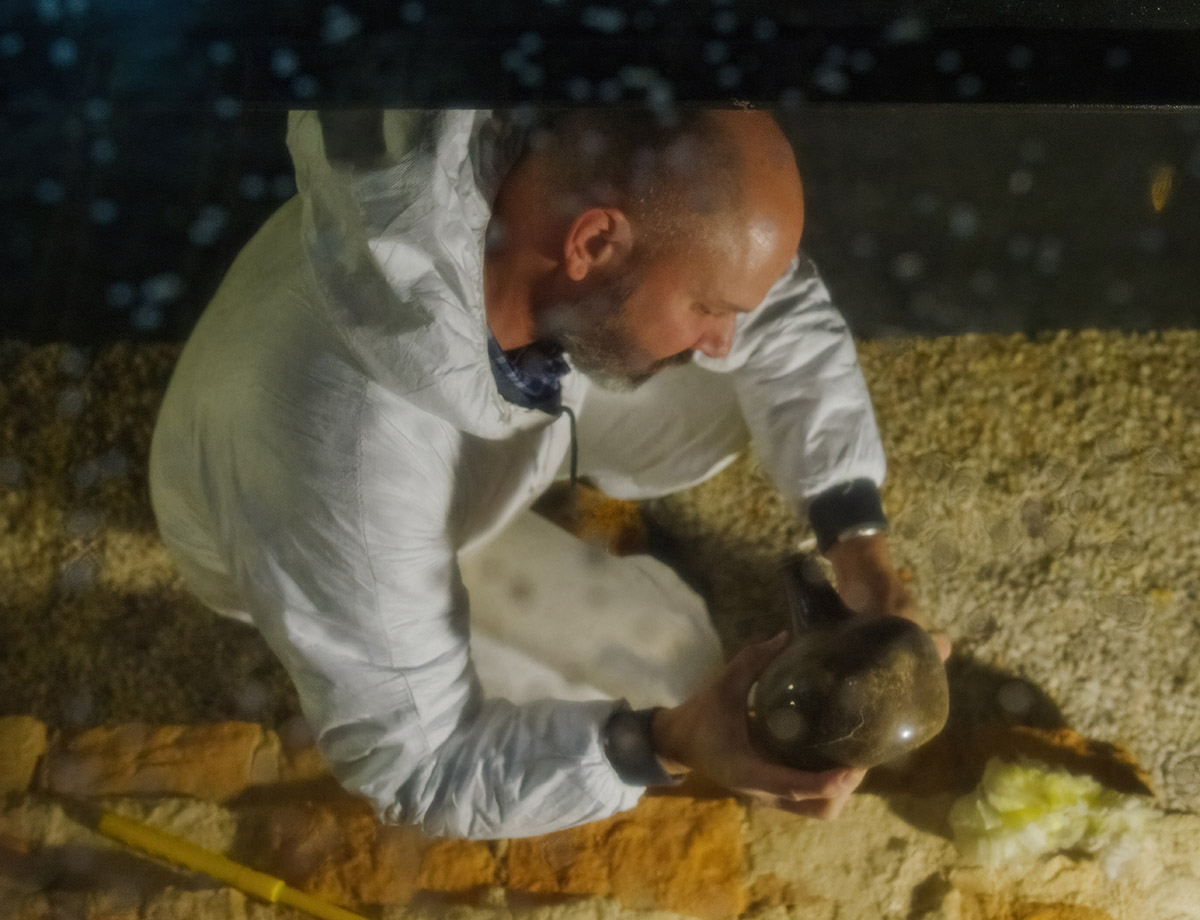 "While you're down there..." Director of Collections and Conservation dusts a 17th-century wine bottle during his trip under the Archaearium to gather a sample of brick from the Statehouse foundations. Photo taken through the glass floor portal in the lobby of the Archaearium.