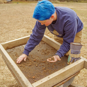 Staff Archaeologist Caitlin Delmas screens for artifacts at the Godspeed Cottage excavations.