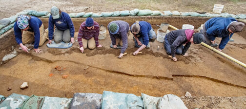 The archaeological team gently scrapes away the top layer of soil in the 1608 palisade extension squares to make features pop for record photography.