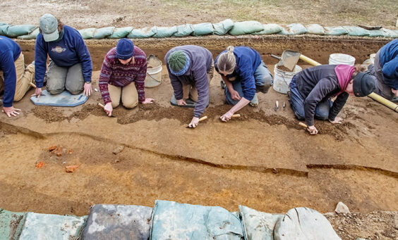 The archaeological team gently scrapes away the top layer of soil in the 1608 palisade extension squares to make features pop for record photography.