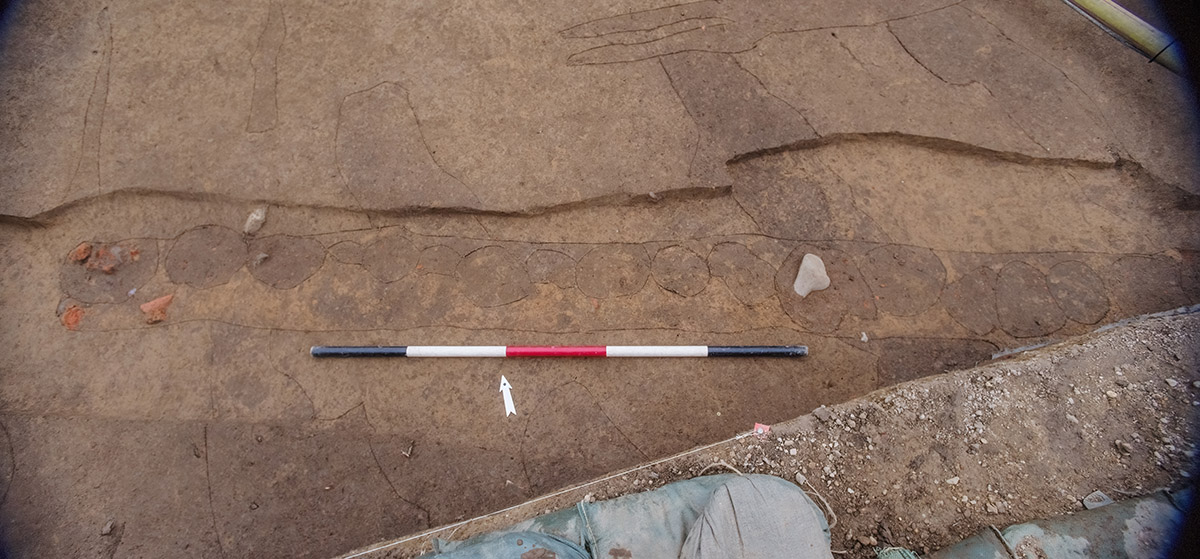 A photo of the 1608 palisade extension. The postmolds have been scored by archaeologists to make them easier to see.