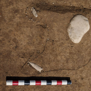 The projectile points and a cobble in situ