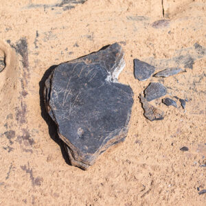 The slate piece found in the North Church excavations